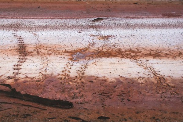 Alternate image of 7. Bottle Bend near Mildura by Bonita Ely
