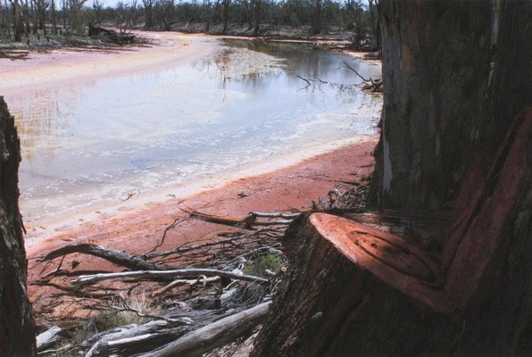 Alternate image of 7. Bottle Bend near Mildura by Bonita Ely