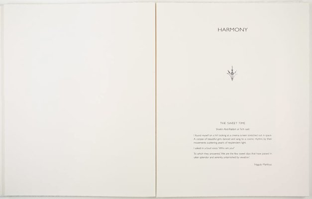 Alternate image of Passage: a book of drawings by Andrew Christofides with musings from 'Echoes of an autobiography' by Naguib Mahfouz by Andrew Christofides, Jenny Zimmer, Nguib Mahfouz