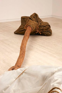 Alternate image of Two Wrapped Trees by Christo