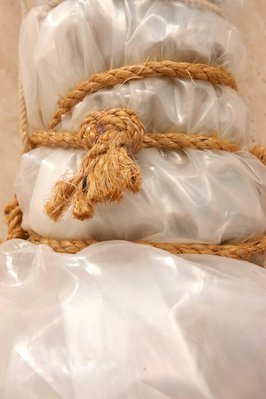 Alternate image of Two Wrapped Trees by Christo