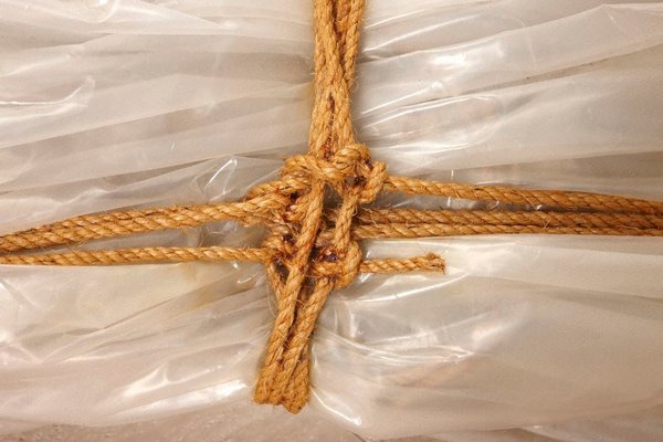 Alternate image of Two Wrapped Trees by Christo