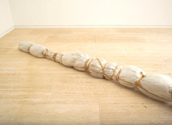 Alternate image of Two Wrapped Trees by Christo