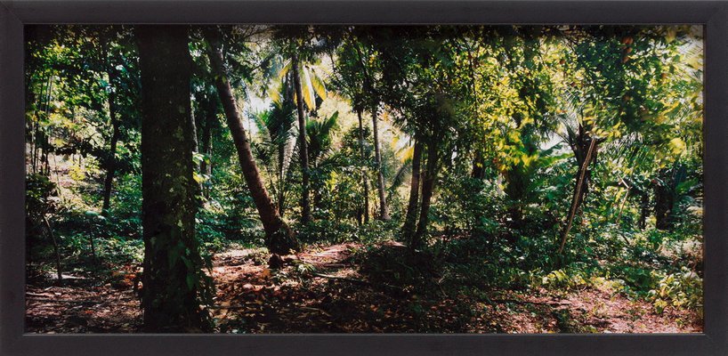 Alternate image of Run by Simryn Gill