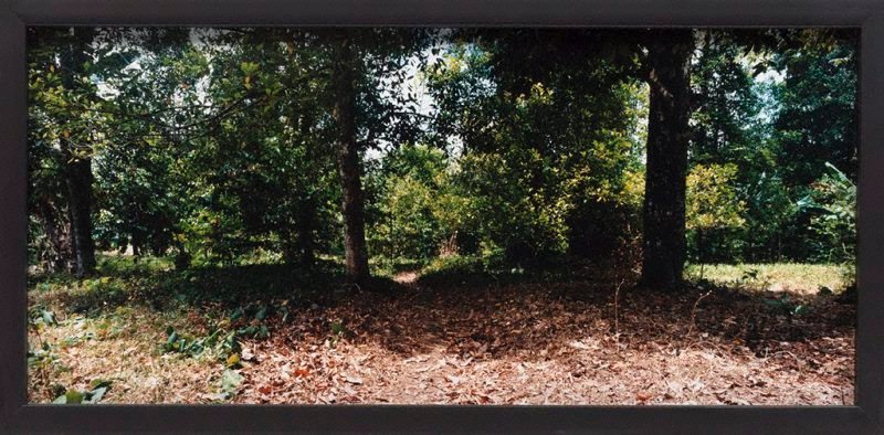 Alternate image of Run by Simryn Gill