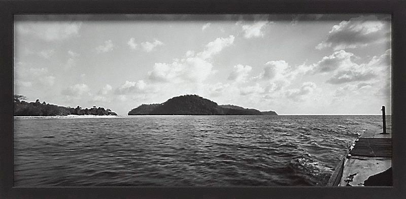 Alternate image of Run by Simryn Gill