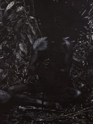 Alternate image of Untitled (FS) by Daniel Boyd