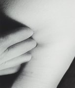 The permissions #3, 2013, Quill by Pat Brassington