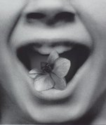 The permissions #6, 2013, Quill by Pat Brassington
