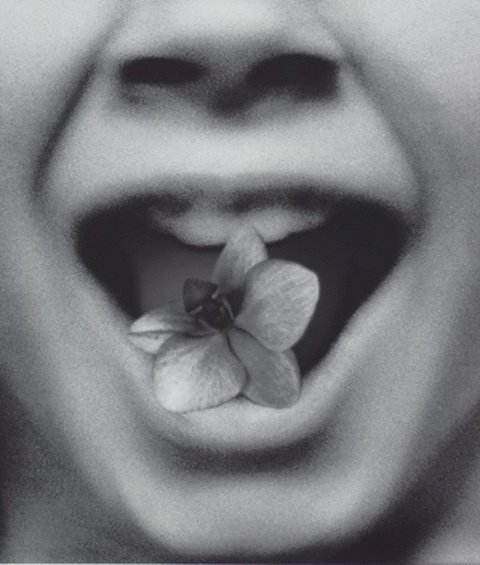 The permissions #6, (2013), Quill by Pat Brassington