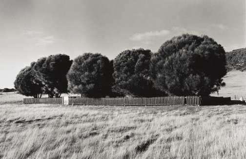 An image of The Healing Garden, Wybalenna, Flinders Island, Tasmania by Ricky Maynard