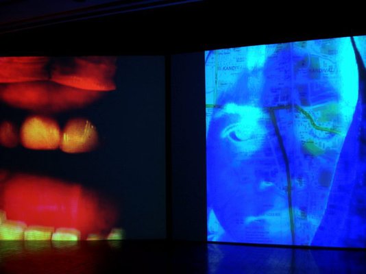 Alternate image of Mother India: Transactions in the Construction of Pain by Nalini Malani