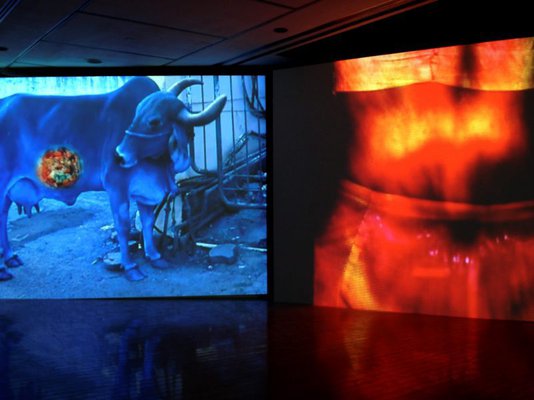 Alternate image of Mother India: Transactions in the Construction of Pain by Nalini Malani