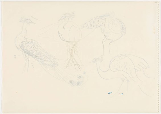 Alternate image of Sketchbook, Sri Lanka by Donald Friend