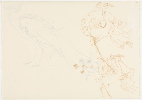Alternate image of Sketchbook, Sri Lanka by Donald Friend