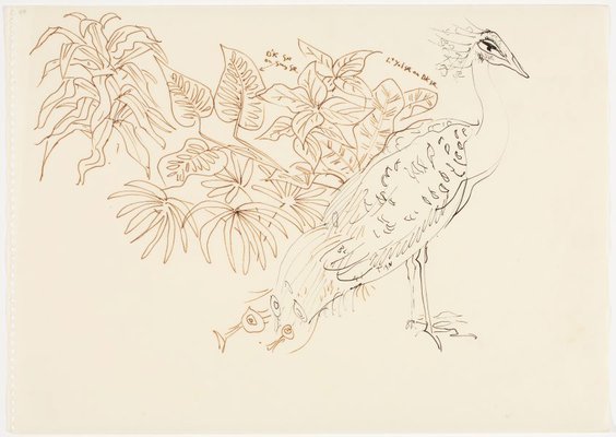 Alternate image of Sketchbook, Sri Lanka by Donald Friend