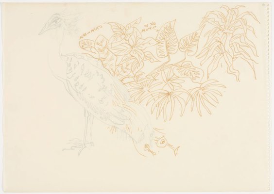 Alternate image of Sketchbook, Sri Lanka by Donald Friend