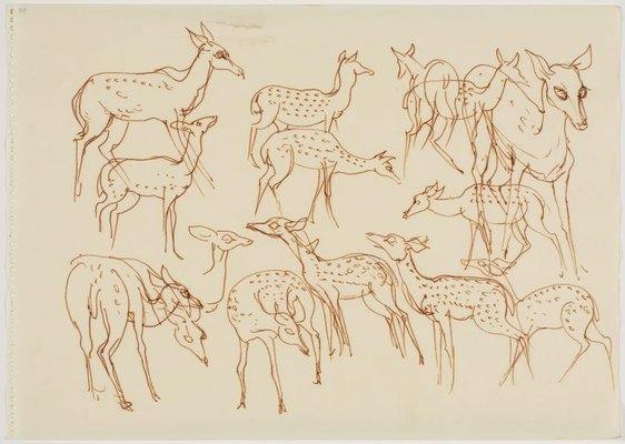 Alternate image of Sketchbook, Sri Lanka by Donald Friend