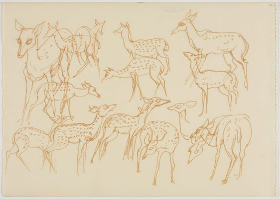 Alternate image of Sketchbook, Sri Lanka by Donald Friend