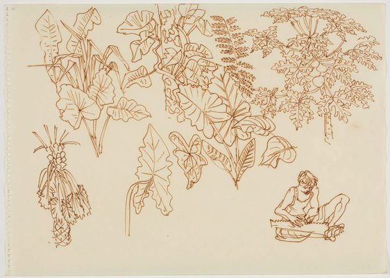 Alternate image of Sketchbook, Sri Lanka by Donald Friend