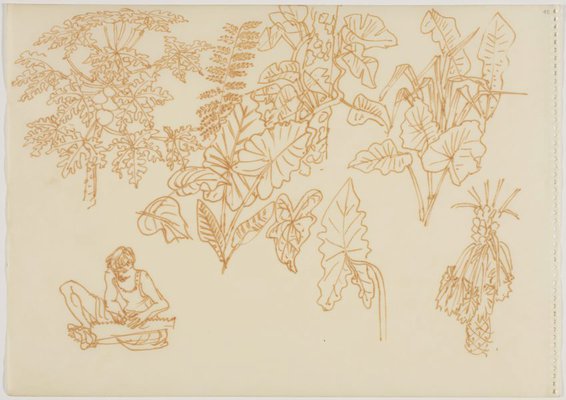 Alternate image of Sketchbook, Sri Lanka by Donald Friend