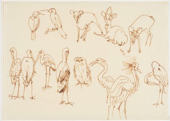 Alternate image of Sketchbook, Sri Lanka by Donald Friend