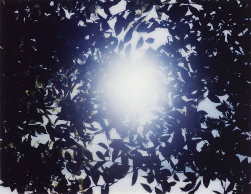 Alternate image of Flare by Thomas Demand