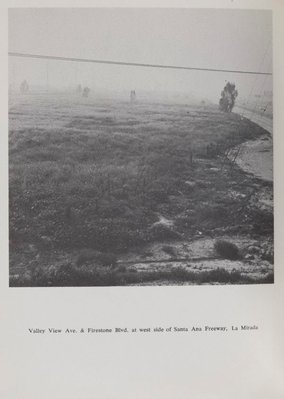 Alternate image of Real estate opportunities by Edward Ruscha