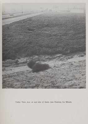 Alternate image of Real estate opportunities by Edward Ruscha