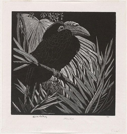An image of Hornbill by Lionel Lindsay