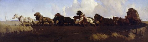 Across the black soil plains, (1899) by George W Lambert