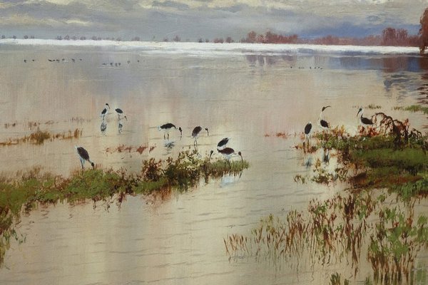 Alternate image of The flood in the Darling 1890 by WC Piguenit