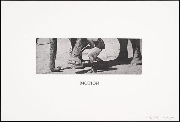 Alternate image of Some narrow views: (either tall or wide) by John Baldessari
