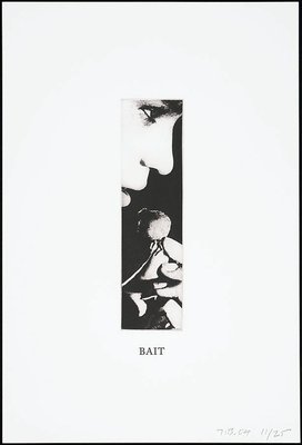 Alternate image of Some narrow views: (either tall or wide) by John Baldessari