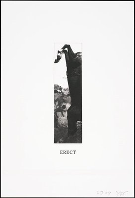 Alternate image of Some narrow views: (either tall or wide) by John Baldessari