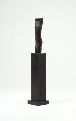 Alternate image of Torso by Rosemary Madigan