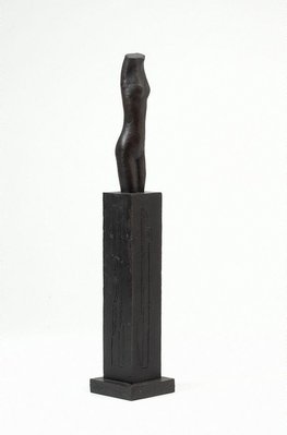 Alternate image of Torso by Rosemary Madigan