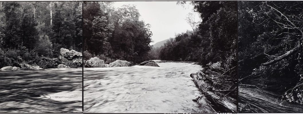 Alternate image of Murchison River and debris before flooding of Lake Murchison, Tasmania by David Stephenson