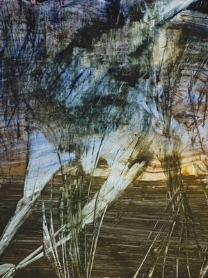 Alternate image of Animal in swamp by Sidney Nolan
