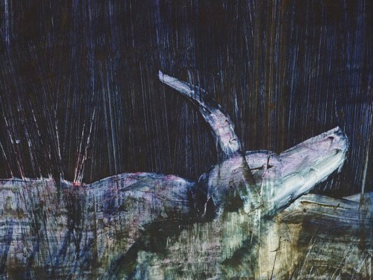 Alternate image of Animal in swamp by Sidney Nolan