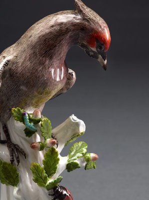 Alternate image of Bohemian waxwing, model by Meissen