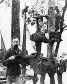 Artist profile: Herbert Flugelman