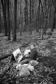 Artist profile: Fred Williams
