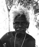 Artist profile: Dr David Malangi