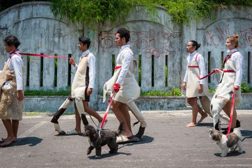 Mella Jaarsma Dogwalk 2015-2016