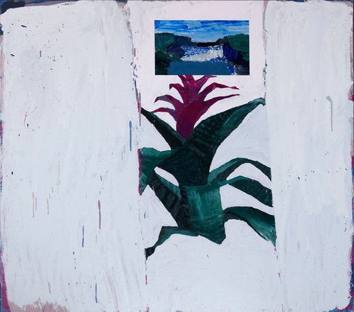 Sally AndersonAge 27, Sydney, NSWDillings Bromeliad with Gulfoss Falls 2016acrylic on board, 80 × 90 cmCourtesy Edwina Corlette Gallery