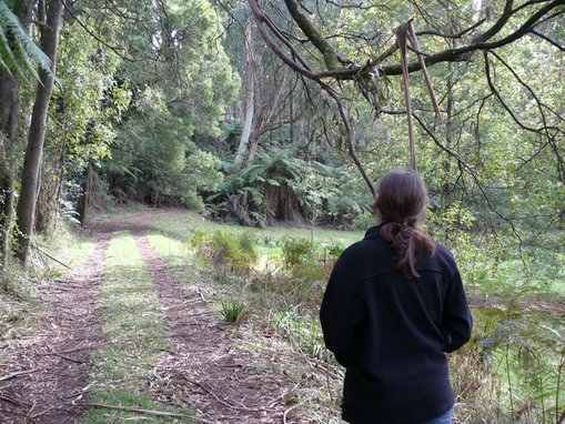 Mary Tonkin, walking up the track towards the rainforest.
