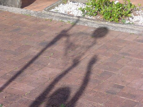 First prize
Antigone SarlasCaringbah High School, Year 7Shadow of a star waiting to be born