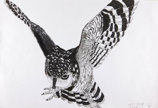 WinnerFu Liuage 11Owlpencil, pen
This is a picture of an owl that is intimidating you. I tried to make him look powerful, letting him spread his wings and staring in front of the picture. I used lots of lines to make shadows of the owl.