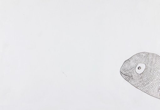 WinnerPia Vandeleurage 7Hello!pencil
A peeking chameleon – it’s hard to hide on white paper.